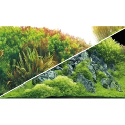 Akvariebaggrund Beplantet flod / Grønne klipper (50 cm høj) 100 cm