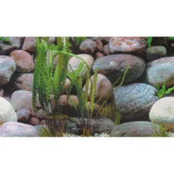 Akvariebaggrund Sten 1/2 (50 cm høj) 120 cm