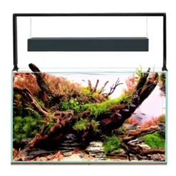 AquaEl Akvarie og Lampe Ultra Scape 60 Forest