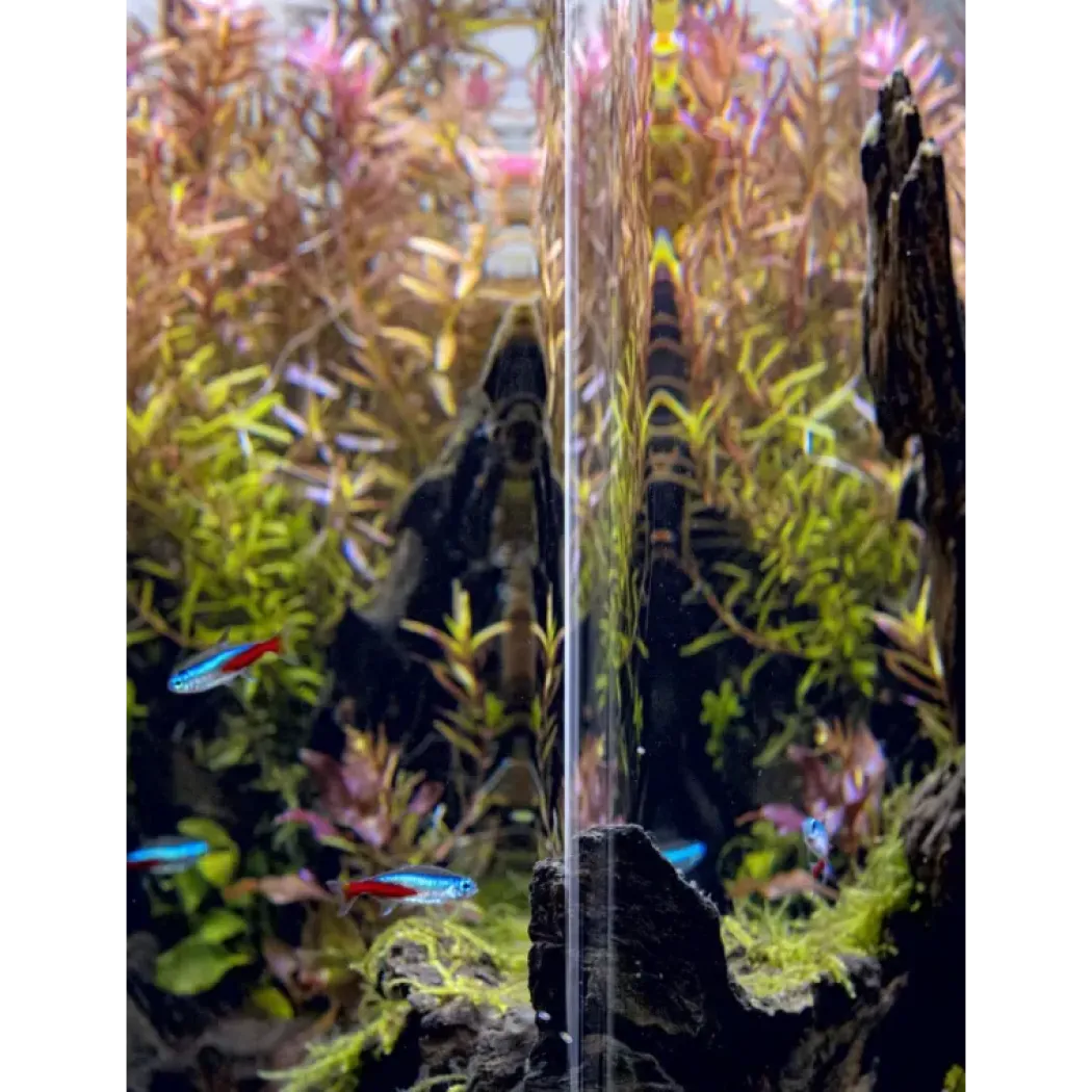 AquaEl Akvarie Opti Bent Sort 30 Liter