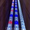Aqualight LED Dreje lysdæmper til AquaLight LED Lampe