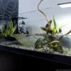 Aqua Terrarium 80x35x30,5 cm til Sumpskildpadder