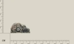 Back to Nature Modul T (filtermodul) Basalt granit