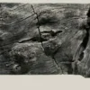 Back to Nature Orinoco Juwel 100x47 cm