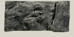 Back to Nature Orinoco Juwel 100x47 cm