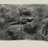 Back to Nature Orinoco Juwel 100x42 cm
