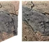Back to Nature Slim-Line 60 A Basalt/granit (50x55 cm)