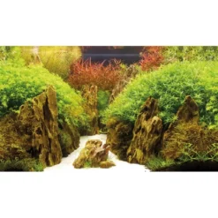 Baggrund til akvarium Canyon og Woodland (50 cm høj) 100 cm
