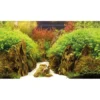 Baggrund til akvarium Canyon og Woodland (50 cm høj) 120 cm