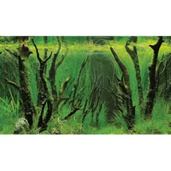 Baggrund til akvarium Canyon og Woodland (50 cm høj) 120 cm