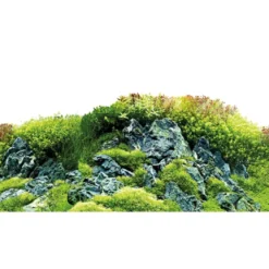 Baggrund til akvarium Scapers Hill og forest (50 cm høj) 100 cm