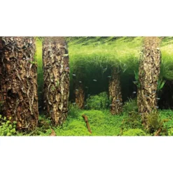 Baggrund til akvarium Scapers Hill og forest (50 cm høj) 100 cm