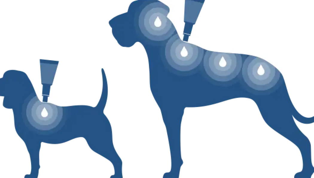 Bayvantic Vet hund 4-10 kg