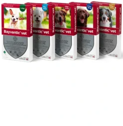 Bayvantic Vet hund 40-60 kg 4 x 6,0 ml