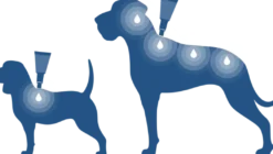 Bayvantic Vet hund under 4 kg 4 x 0,4 ml