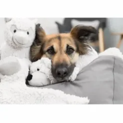 Be Eco Bjørn Elroy - bamse i genbrugsplys til hunde