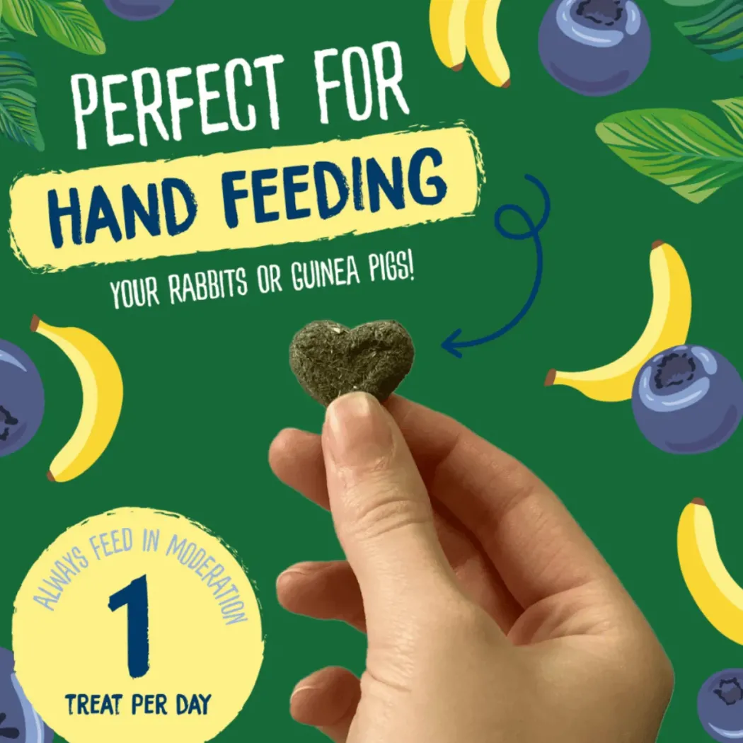 Burgess Excel Natures Snack Herby Hearts 60 g - Bagte urtesnacks til håndfodring