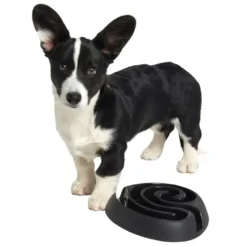 Buster dogmaze (sort)