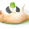 Catit Senses Wellness Center