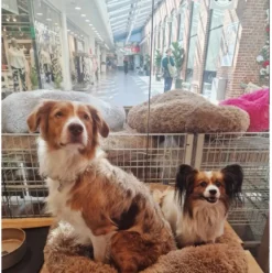 Cushion Krems fluffy rund hundeseng large mørkebrun