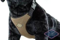 D & D All Season Hundesele L - Hals 50-71 cm livvidde 62-84 cm