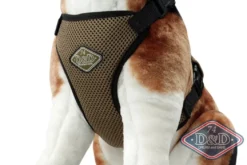 D & D All Season Hundesele XS - Med varm/kold gelepude til året rundt komfort