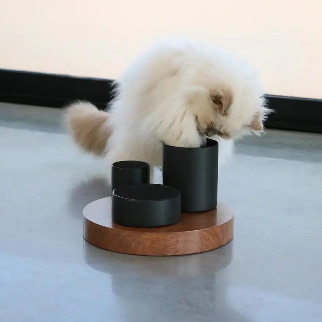 D&D CAT IGGY Slow Feeder 27x27x19 cm Sort