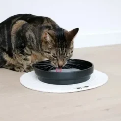D&D CAT Keramisk Drikkeskål (L) ACE Ø20 cm. Sort