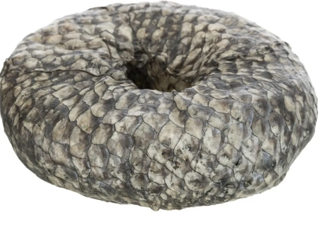 Denta Fun Tyggering med Fisk Ø 10 cm - sund hundesnack