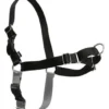 Easy Walk Hundesele Sort XL - Bryst 44-59,5 cm