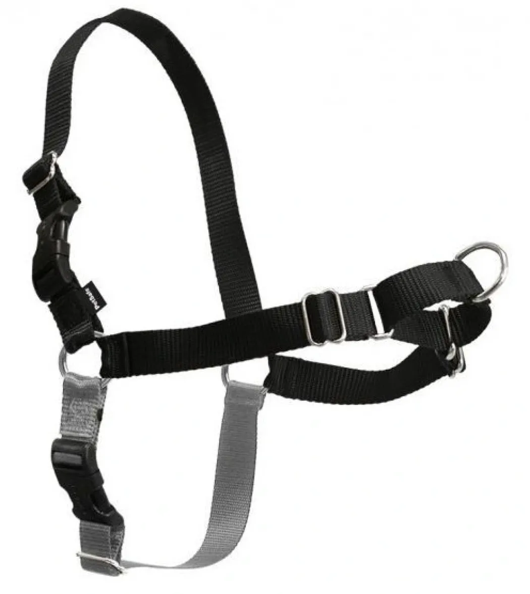 Easy Walk Hundesele Sort XS - Bryst 15-17,5 cm