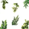 Exo Terra Abuliton medium