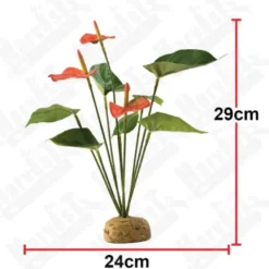 Exo Terra Anthurium bush