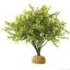 Exo Terra Boxwood bush