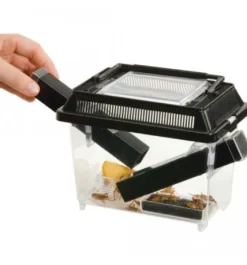 Exo Terra Cricket Pen stor