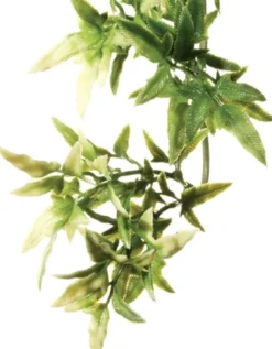 Exo Terra Croton stor