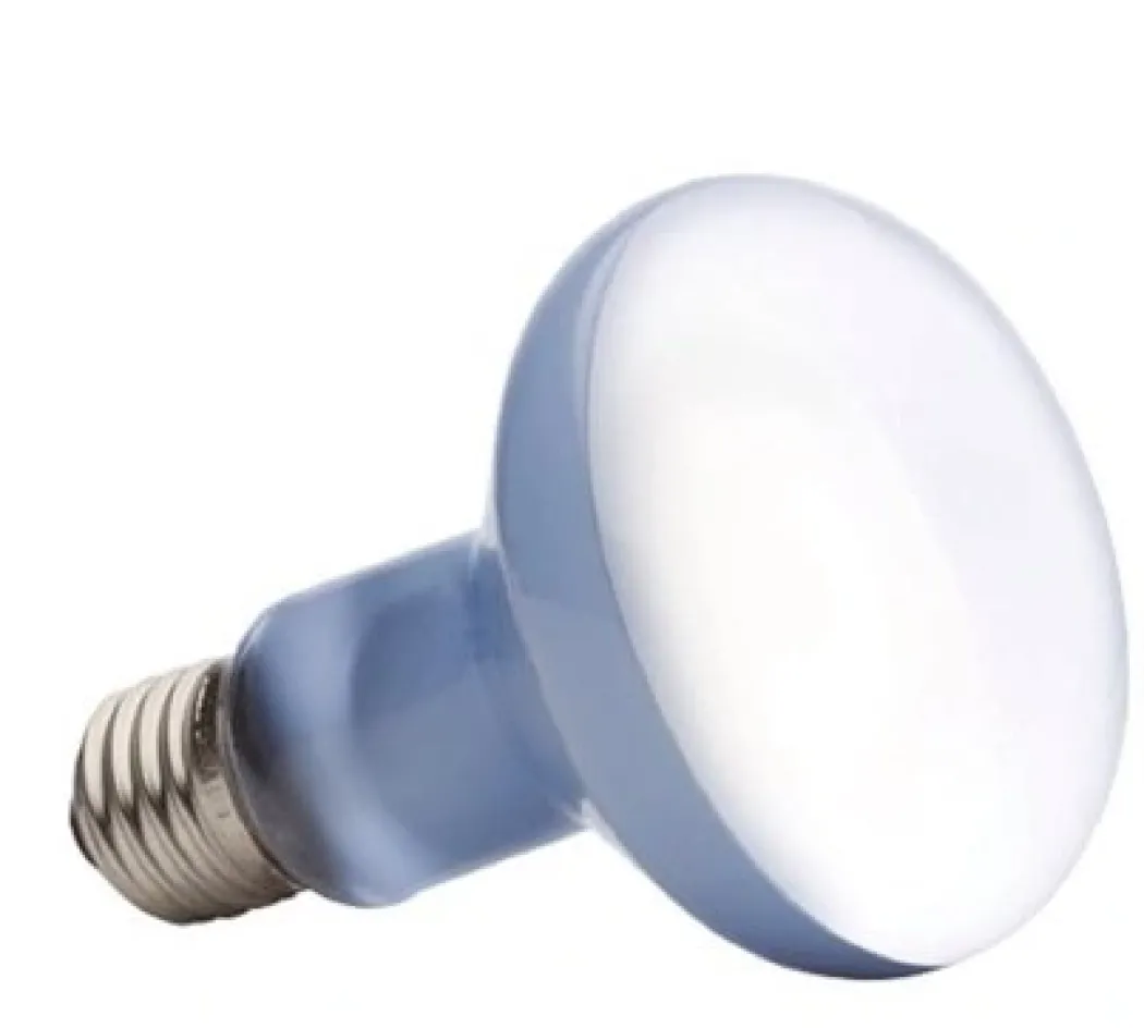 Exo Terra Day Glo Spot 75 w med UVA