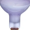 Exo Terra Day Glo Spot 150 w med UVA