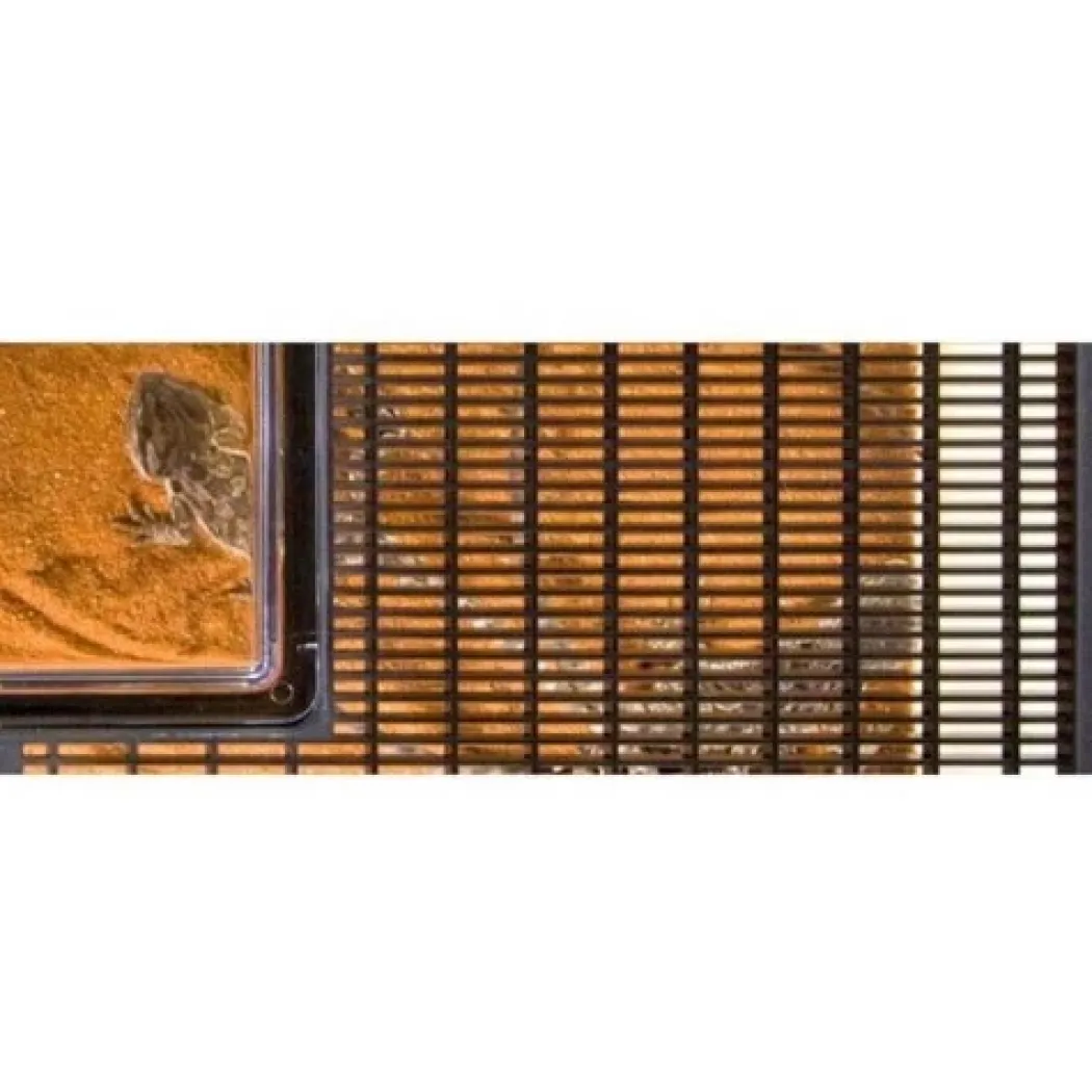 Exo Terra Faunarium stor (HPT2265)