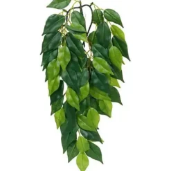 Exo Terra Ficus (lille)