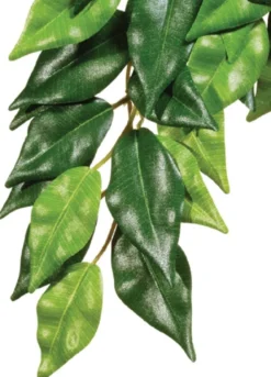 Exo Terra Ficus medium