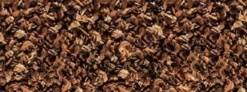 Exo Terra Forest Bark 8,8 liter