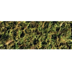 Exo Terra Forest Moss 2 x 7 liter
