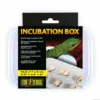 Exo Terra Incubation Box - Sikker rugning af reptilæg