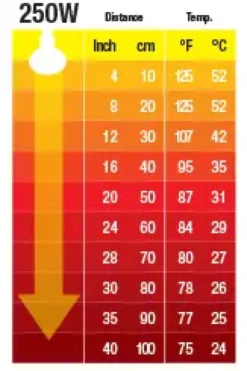 Exo Terra Kernevarmepære 250 w