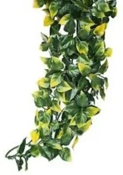 Exo Terra Mandarin stor