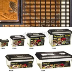 Exo Terra Plastik terrarium stor (HPT2310)