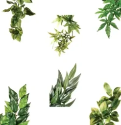 Exo Terra Ruscus lille
