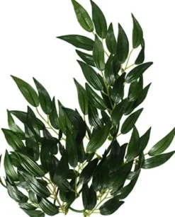 Exo Terra Ruscus medium