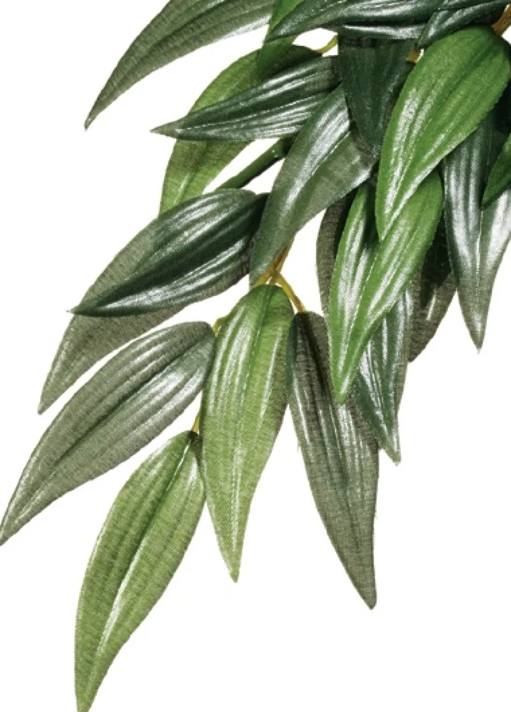Exo Terra Ruscus stor